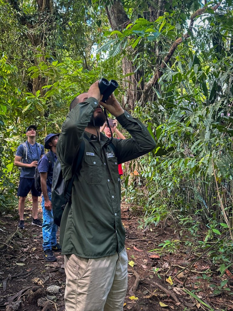 Boa using binoculars in Tortuguero National Park with a group of tourists observing around him.