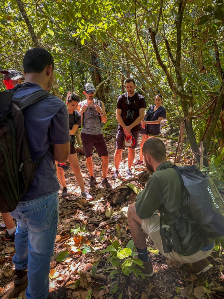 Boa engaging a group of tourists in Tortuguero’s rainforest, kneeling down and pointing to an interesting spot on the forest floor.