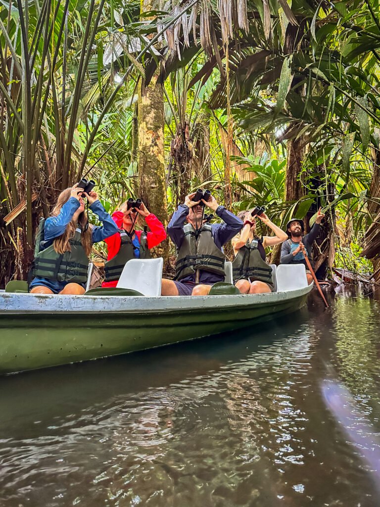 Small-Group Canoe Tour in Tortuguero National Park – Wildlife Experience with Expert Guide